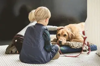 Hundeschule Wittstock