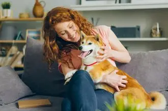 Hundeschule Ziesar